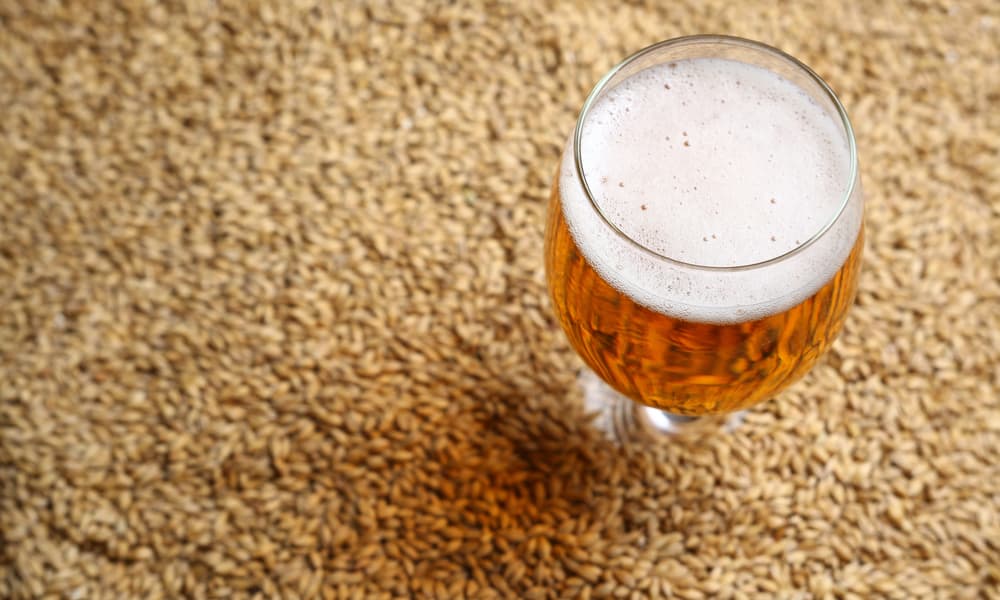 Deals Malt Crafts Store -Deals Malt Crafts Store What is Malt in Beer